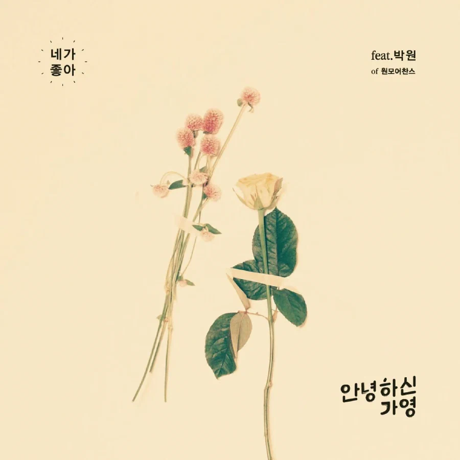 네가 좋아 Feat. 박원 single cover