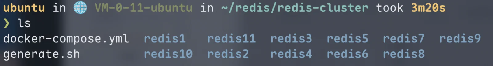 Redis cluster generated folders