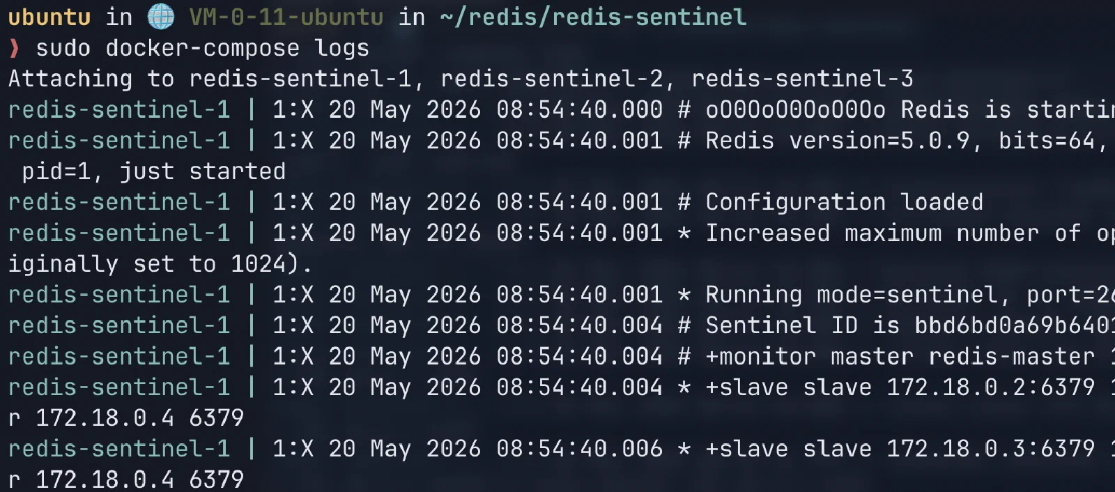 Redis data node logs