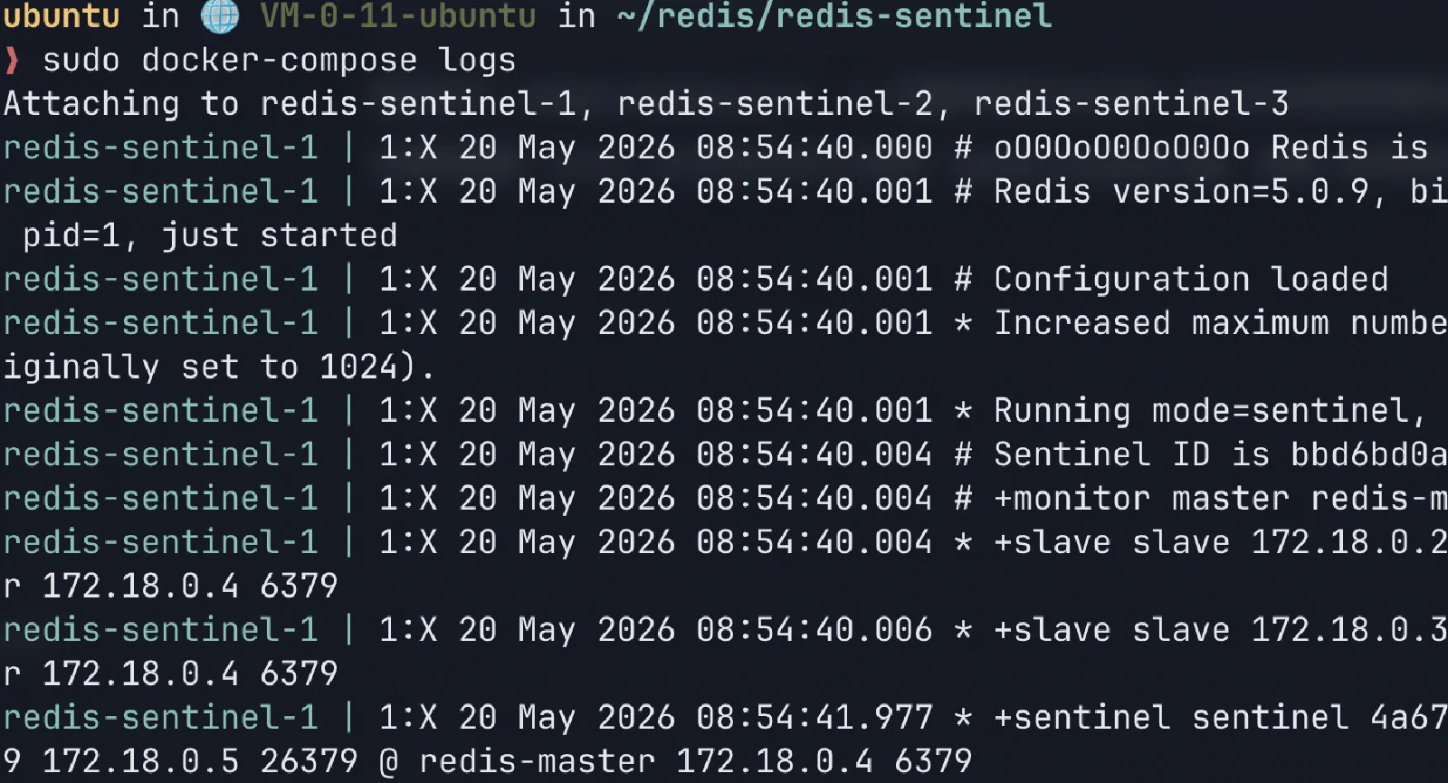 Redis Sentinel logs