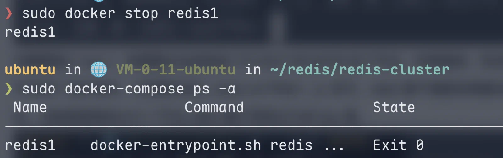 Stop redis1 container