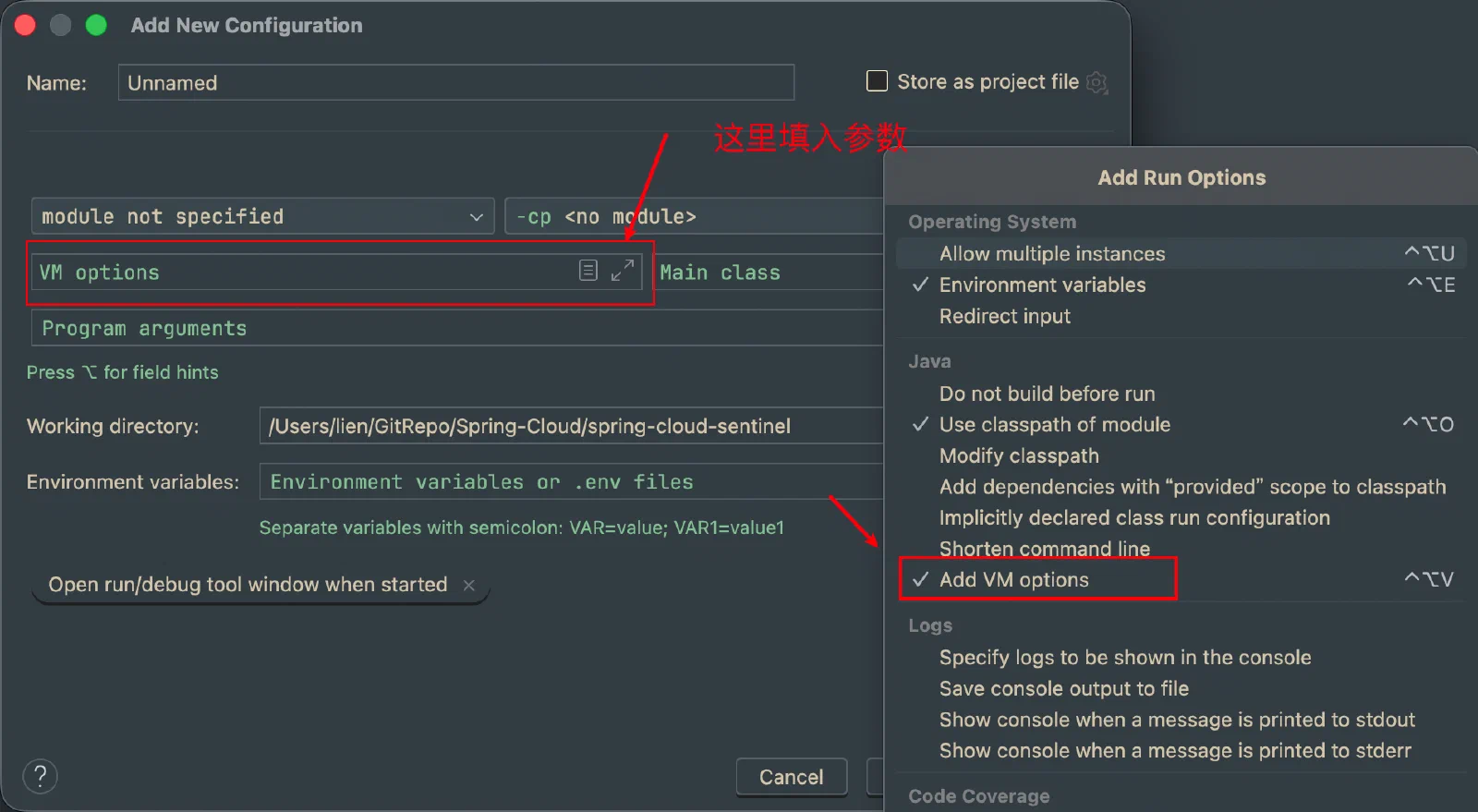 skywalking java agent startup